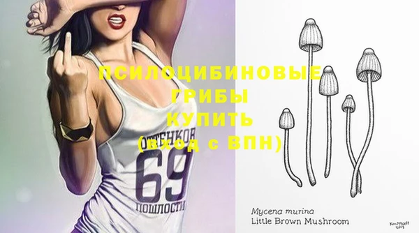 гидропоника Абаза