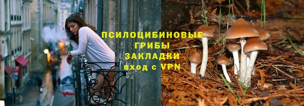 гидропоника Абаза