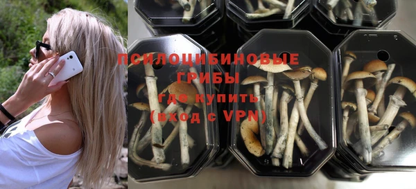 твердый Абинск