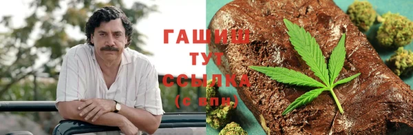 ПСИЛОЦИБИНОВЫЕ ГРИБЫ Медногорск